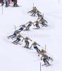 larsson_ab_2007_sl_1D_final.jpg