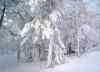PIC_0004.JPG