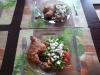 P1060196_.JPG