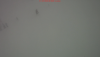 ScreenHunter_04_Jan._10_20.29.gif