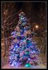 New_Year_Tree.jpg