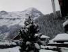 20130115_102907.jpg