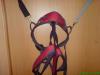 DSC01090.JPG