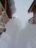 DSC00204.JPG