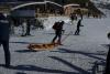 DSC07325.jpg