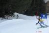 valgard___ski2.jpg