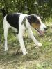 PICT0078.JPG