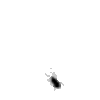 130173.gif