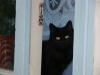DSC00170.jpg
