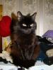 DSC01134.jpg