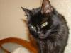 DSC02059.jpg