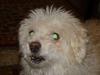 DSC01006.jpg