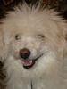 DSC01233.jpg