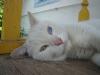 DSC02401.jpg