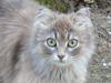 DSC03578.jpg