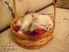 DSC01677.JPG