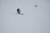 DSC_1071.JPG