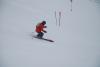 DSC_1146.JPG