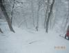 DSCN1231.JPG