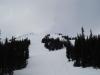 DSC04144.JPG