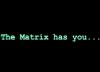The_matrix_has_you.jpg