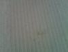 IMG_20130413_123309.jpg