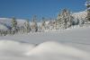 DSC_1783.JPG