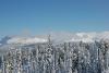 DSC_1884.JPG