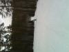 IMG_20130414_192352.jpg