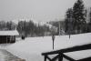 DSC_0275.JPG