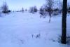 IMAG0228.jpg