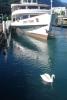 DSC01368.jpg