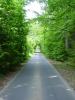 DSC03086.jpg