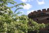 2013-05-29 15-11-52.JPG