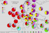 Image41.gif