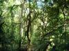 DSCN0942.jpg
