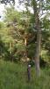 DSC03045__360x640_.jpg