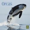 Orcas.jpg