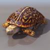 bapic1001509_TURTLE.jpg
