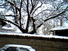 Video_call_snapshot_2.png