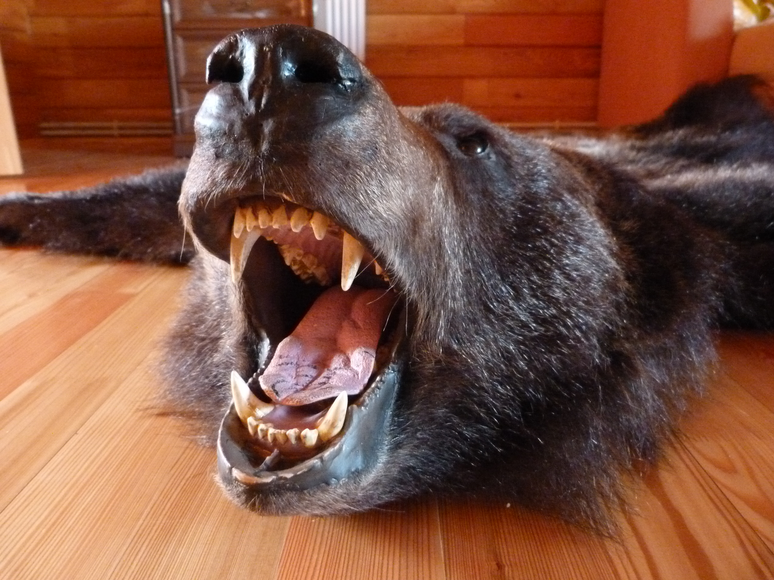 P1010325.JPG