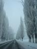 DSC07888.jpg