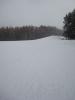 DSC08035_.jpg