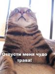 Фотография Faktori