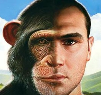 Фотография swissmaker