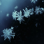 Фотография Snow Queen