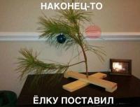 Фотография alex978