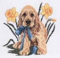 Фотография spaniel